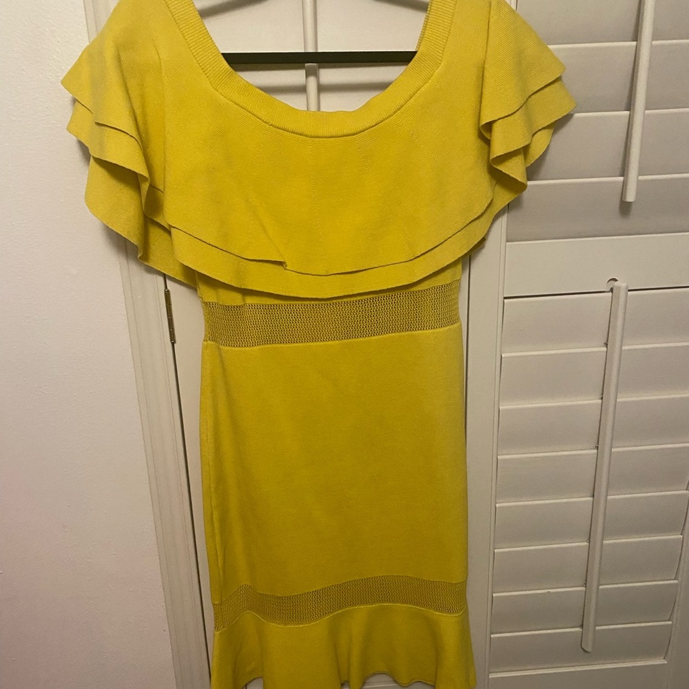 Endless Rose Dress